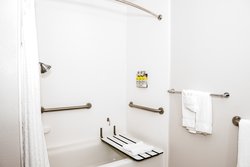  - Holiday Inn Express & Suites Busch Gardens Tampa