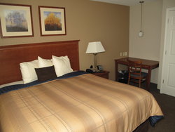 - Candlewood Suites Elgin - I-90, Exit 52