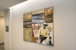  - Fairfield Inn & Suites by Marriott Wesley Chapel