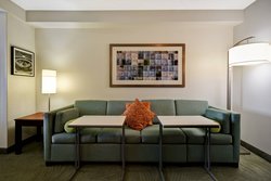  - SpringHill Suites by Marriott Buford - I-85, Exit 115