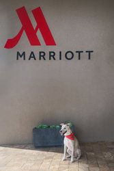  - Marriott Solana Hotel Westlake