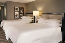  - Sheraton Bucks County Hotel Langhorne
