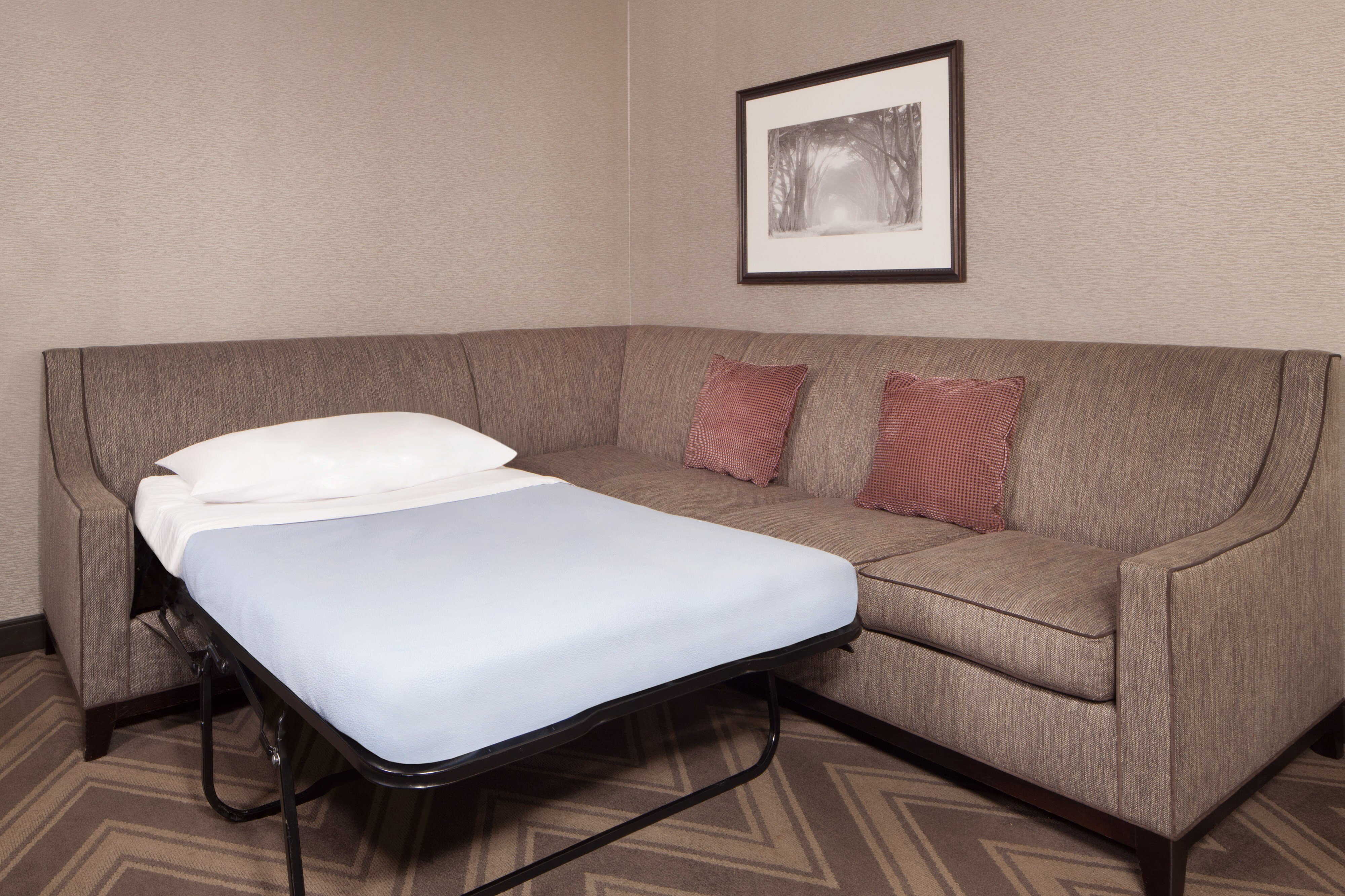 One Bedroom Suite - Sofa Bed