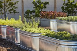  - Marriott Hotel San Mateo