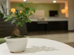  - Holiday Inn Mayaguez & Tropical Casino