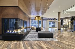  - Live! by Loews Hotel AT&T Stadium Arlington