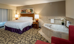  - Holiday Inn Convention Center Stevens Point