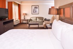  - Holiday Inn West Medical Center Amarillo - I-40, Exit 65