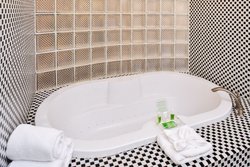  - Holiday Inn West Medical Center Amarillo - I-40, Exit 65