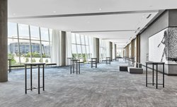  - Live! by Loews Hotel AT&T Stadium Arlington