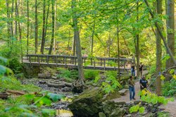  - Staybridge Suites Downtown Hamilton