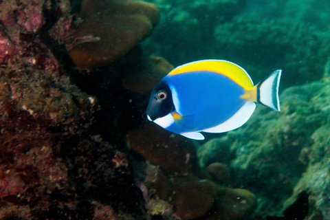 LE MERIDIEN PHUKET BEACH - Photo 111