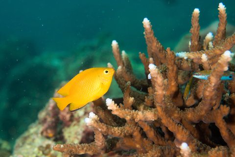 LE MERIDIEN PHUKET BEACH - Photo 115