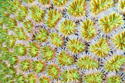 LE MERIDIEN PHUKET BEACH - Photo 116