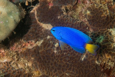 LE MERIDIEN PHUKET BEACH - Photo 118