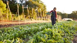  - Miraval Resort and Spa Austin