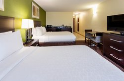  - Holiday Inn Express & Suites Medical Center Rochester