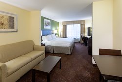  - Holiday Inn Express & Suites Medical Center Rochester
