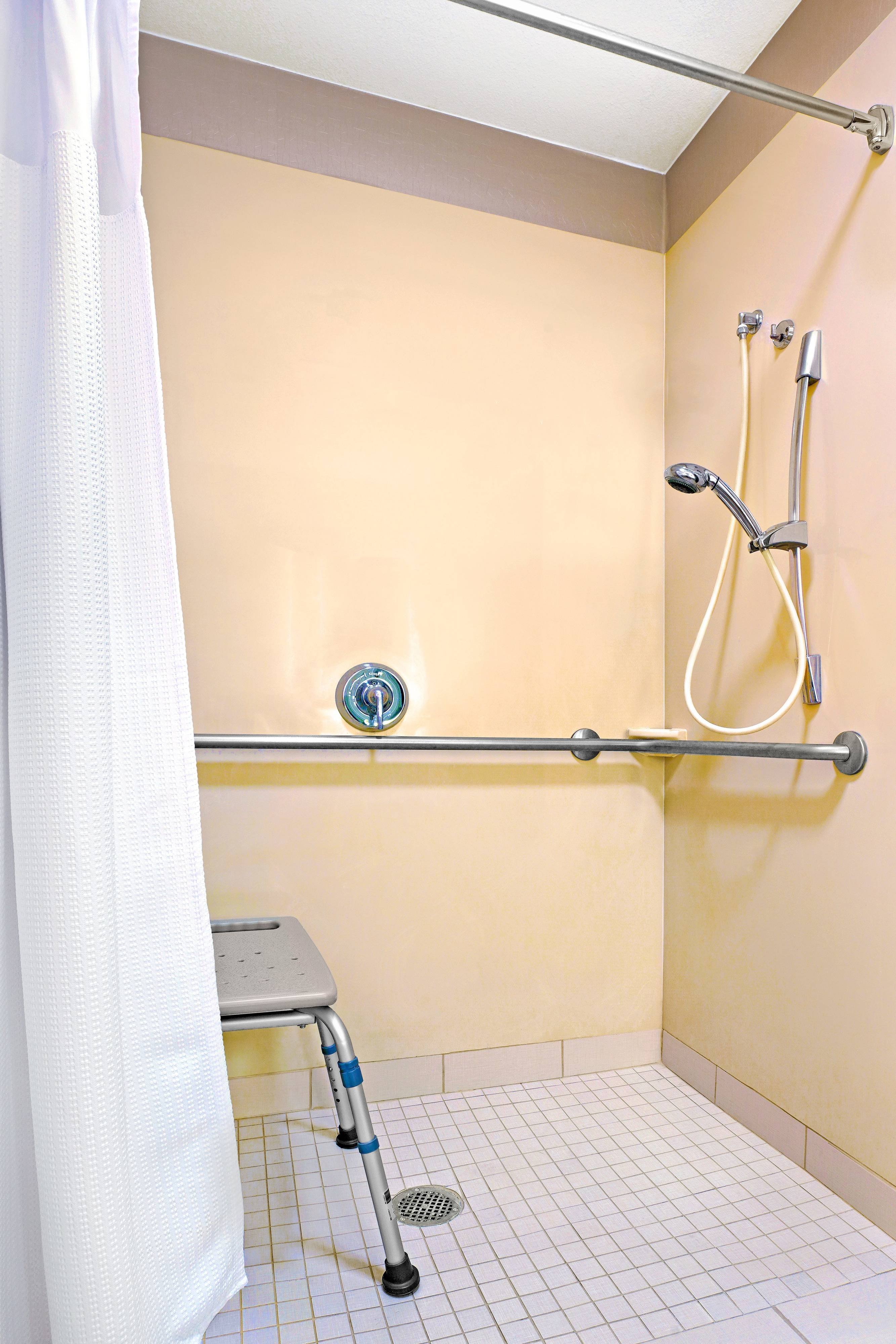 Accessible Bathroom - Roll-In shower