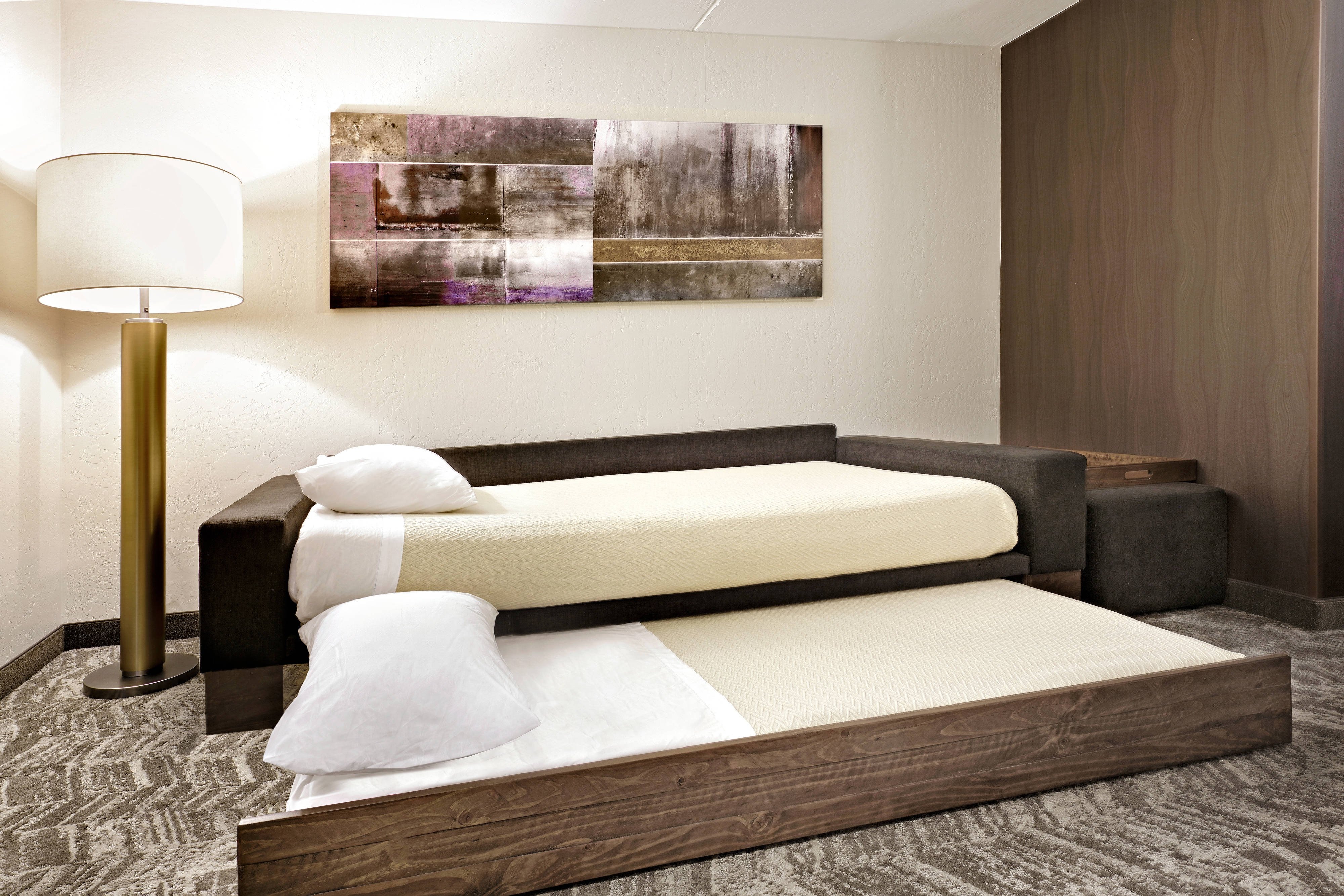 Suite Living Area - Trundle Bed