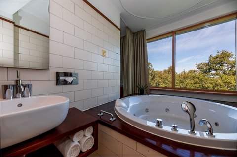 Junior Suite With Hot Tub Luxury Building 