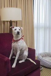  - Marriott Solana Hotel Westlake