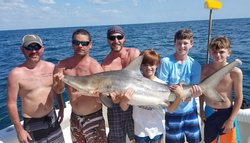  - Holiday Inn & Suites Indian Rocks Beach