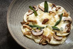  - Morrison House Hotel Alexandria - I-95 & I-495, Exit 177