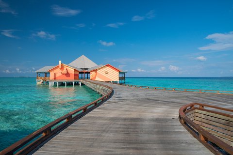 THE STANDARD MALDIVES - Photo 47