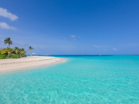 THE STANDARD MALDIVES - Photo 19