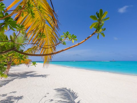 THE STANDARD MALDIVES - Photo 20