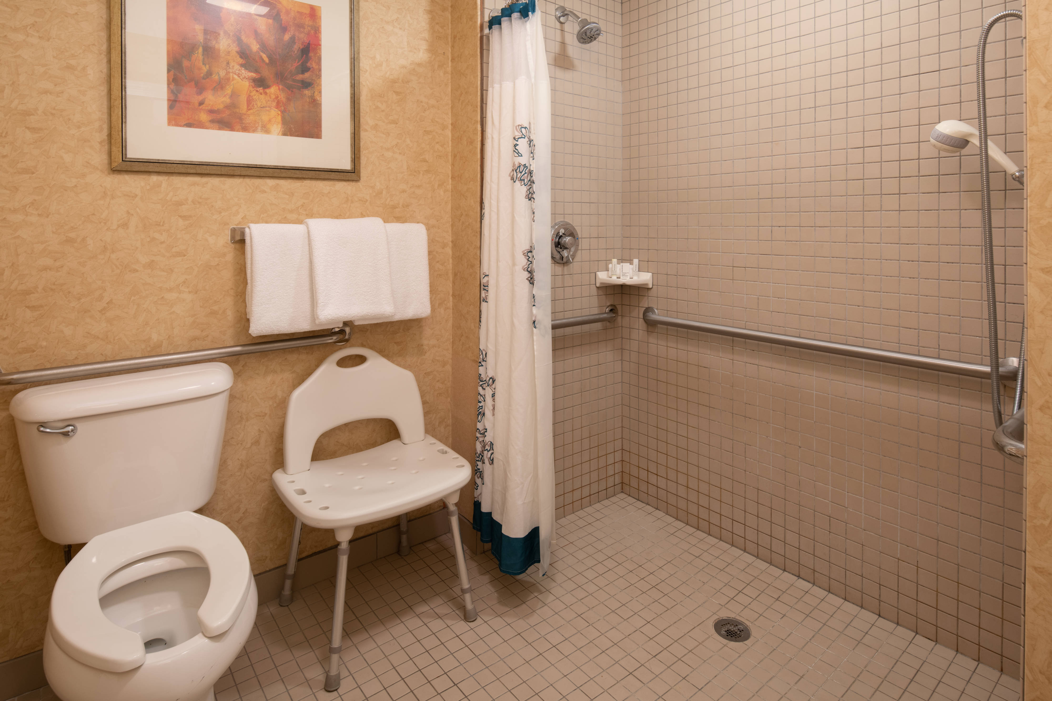Two-Bedroom Accessible Suite Bathroom - Roll-In Shower