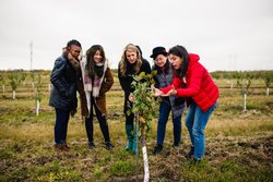  - Holiday Inn & Suites Downtown Saskatoon