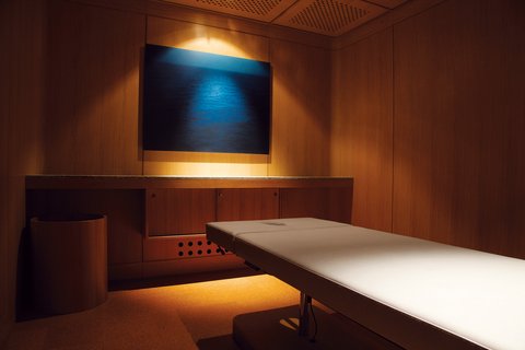 THE OMNIA - Photo 11