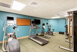  - Holiday Inn Express & Suites Bradenton - I-75, Exit 217