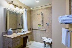  - Holiday Inn Express & Suites Bradenton - I-75, Exit 217