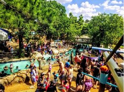  - Staybridge Suites Willowbrook Houston