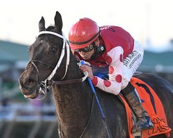  - Staybridge Suites Willowbrook Houston