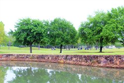  - Staybridge Suites Willowbrook Houston