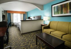  - Holiday Inn Express & Suites Grapevine