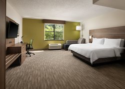  - Holiday Inn Express & Suites Airport Irving