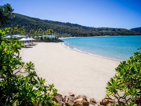 INTERCONTINENTAL HAYMAN ISLAND RESO - Photo 117