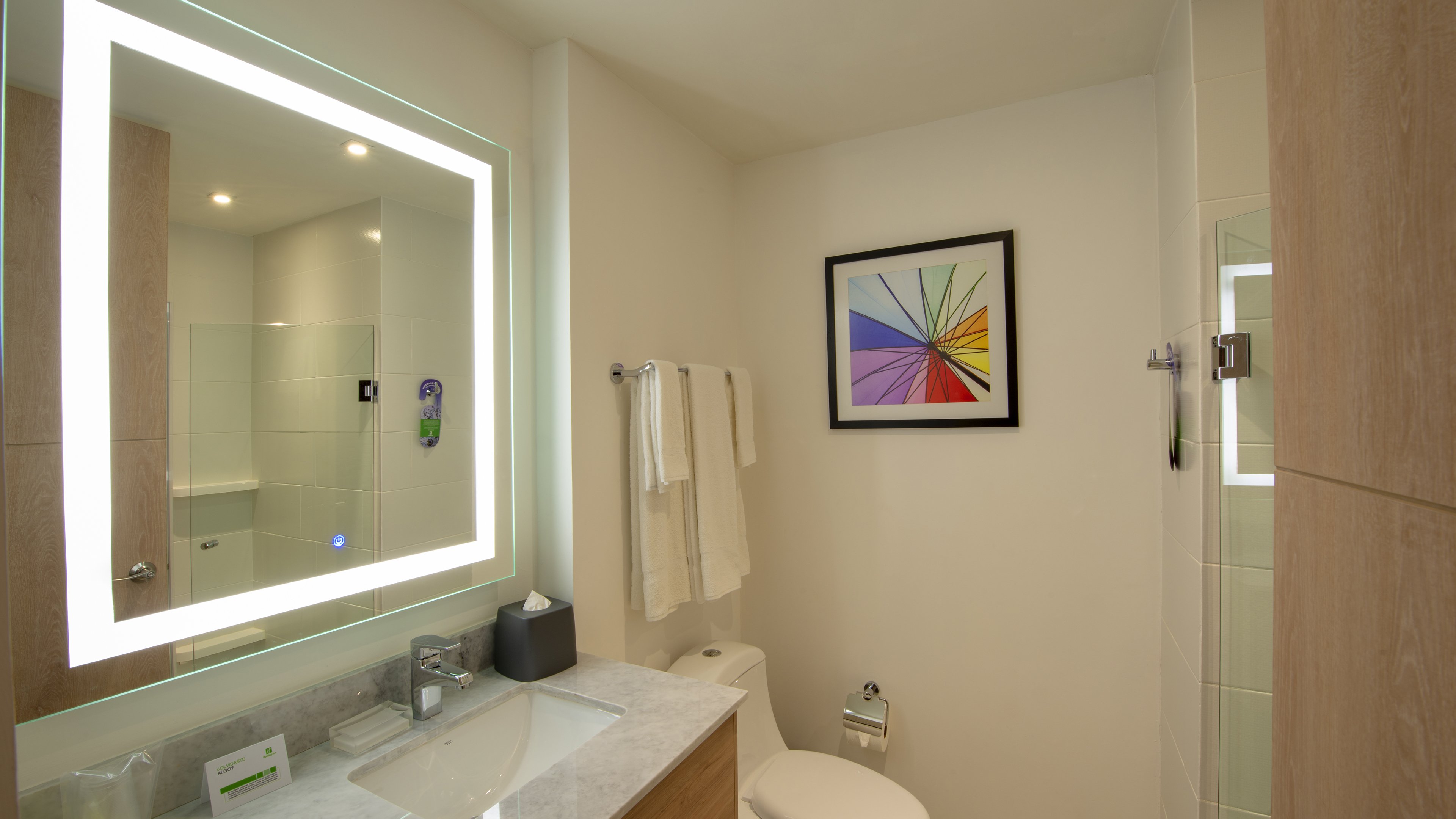 HOLIDAY INN STES MERIDA LA ISLA BY-guestroom-Guest Bath Room.jpg