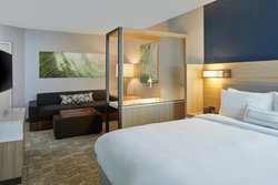  - SpringHill Suites by Marriott at Carowinds Charlotte - I-485, Exit 1