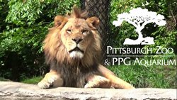  - Holiday Inn Express & Suites Canonsburg