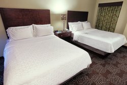  - Holiday Inn Express & Suites Green Tree Pittsburgh