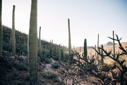  - JW Marriott Starr Pass Resort & Spa Tucson