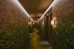  - Renaissance Hotel Chelsea New York