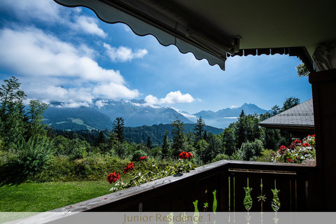 CHALET ROYALP HOTEL AND SPA - Photo 20