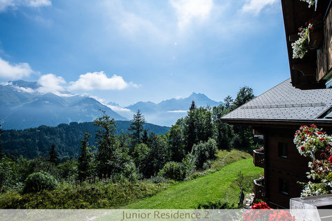 CHALET ROYALP HOTEL AND SPA - Photo 21